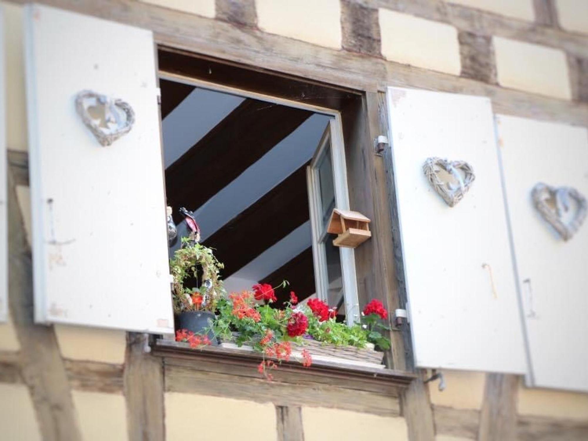Charmant Appart Avec Garage Et Terrasse Au Coeur De Colmar, Pres De La Route Des Vins D'Alsace - Fr-1-722-6 المظهر الخارجي الصورة