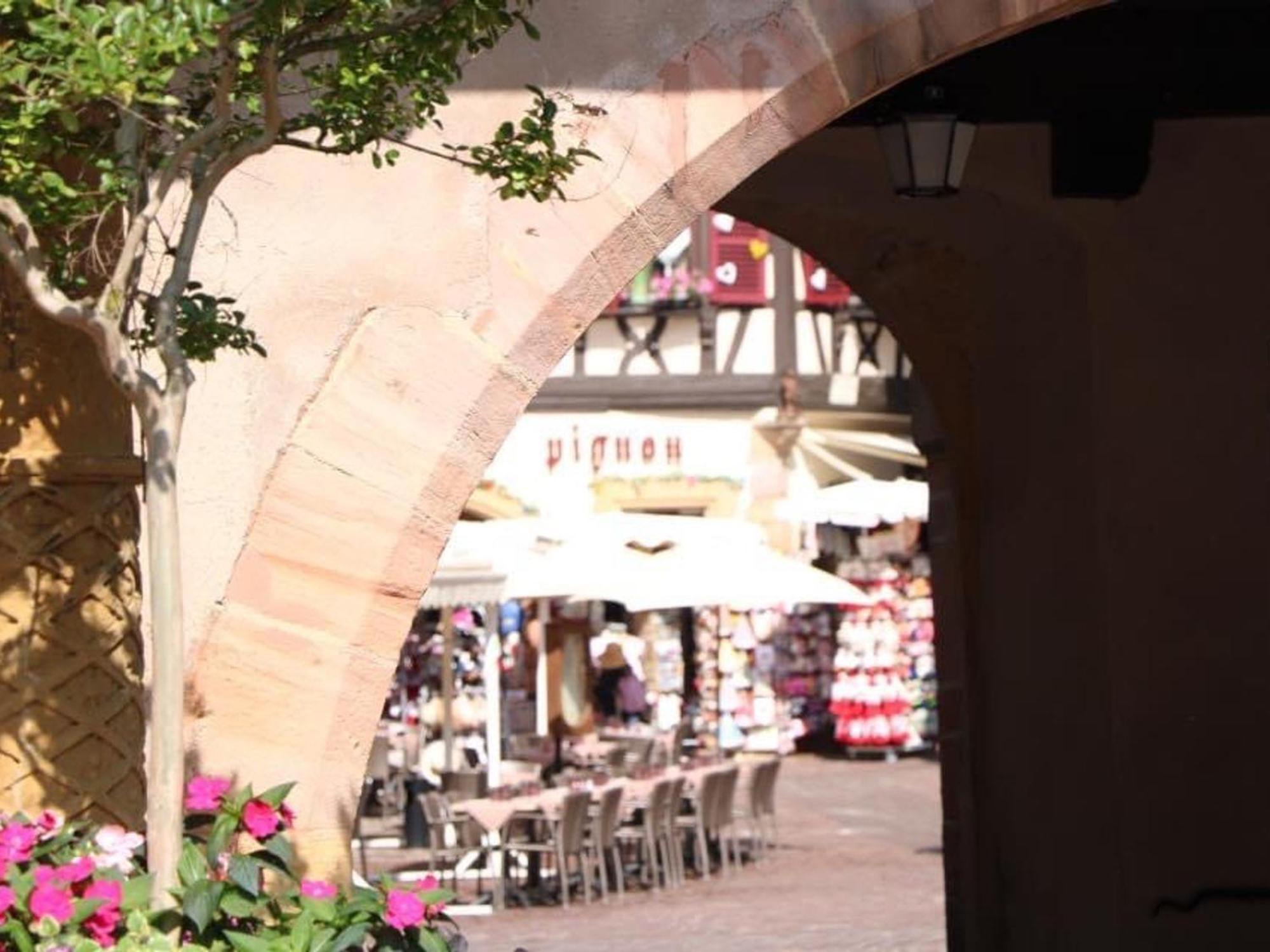 Charmant Appart Avec Garage Et Terrasse Au Coeur De Colmar, Pres De La Route Des Vins D'Alsace - Fr-1-722-6 المظهر الخارجي الصورة
